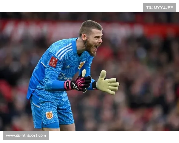 英超格局生变 中下游黑马崛起掀起传统豪门冲击潮 英超格局生变 中下游黑马崛起掀起传统豪门冲击潮